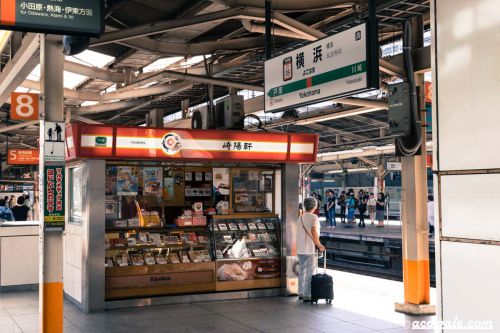 横浜駅で買う崎陽軒の駅弁「夏のかながわ味わい弁当」