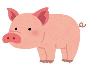彼女「三元豚のトンカツだって！美味しそうだね」ワイ「日本で飼育されてる豚の7割は三元豚ですよ」
